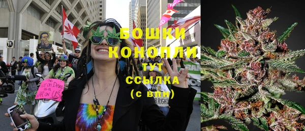 трава Вязьма