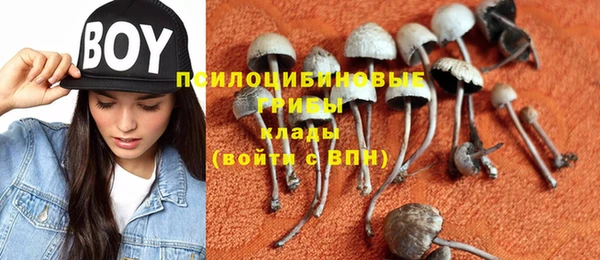 трава Вязьма