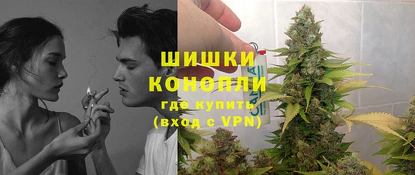 трава Вязьма