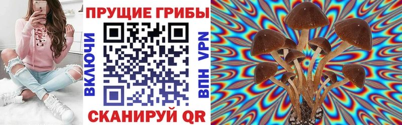 Галлюциногенные грибы мицелий  Купить  Бронницы 